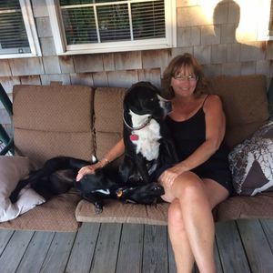 Meet your Posher, Sue